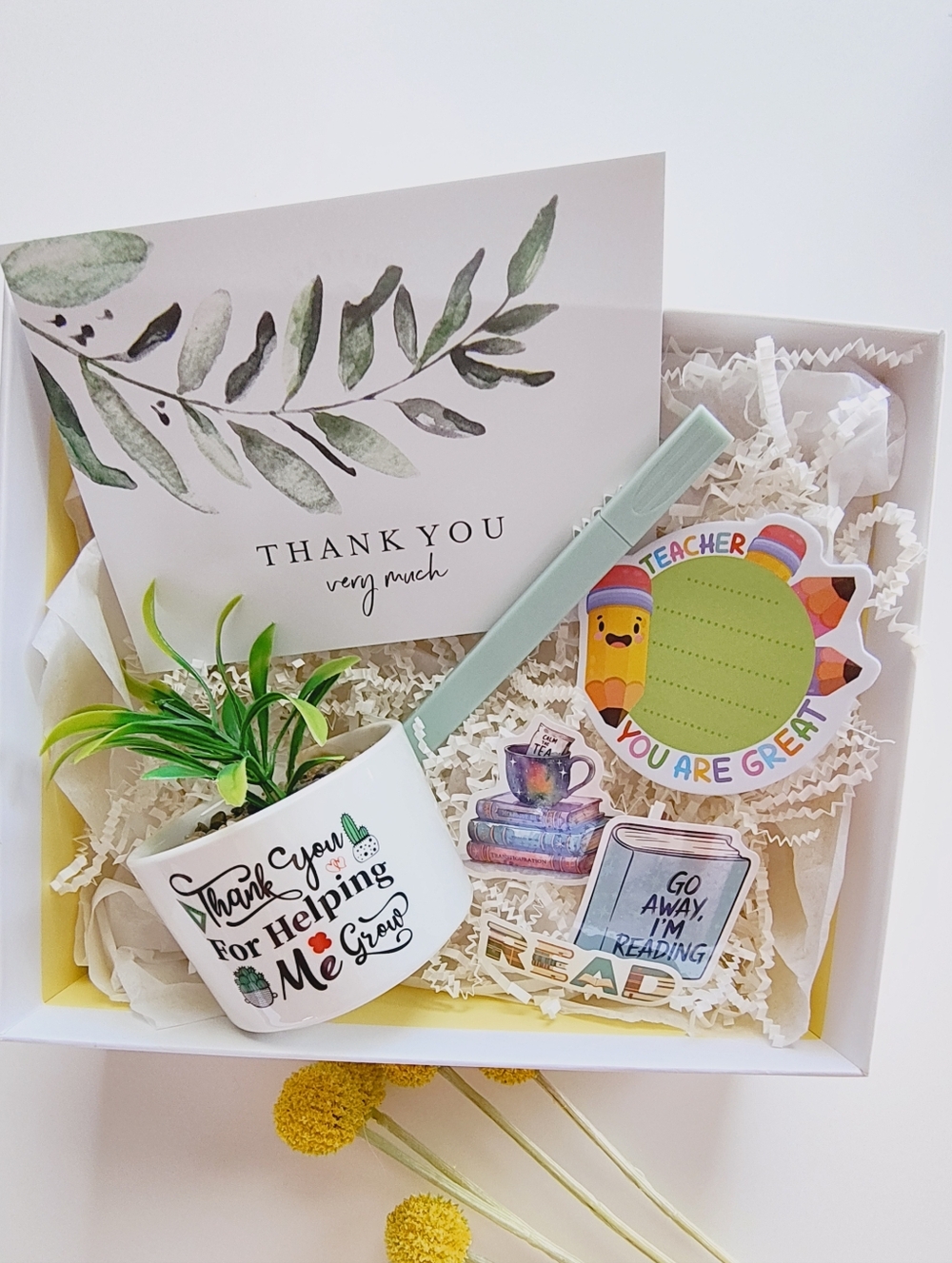 Teacher Appreciation Succulent Cactus Gift Box Set.